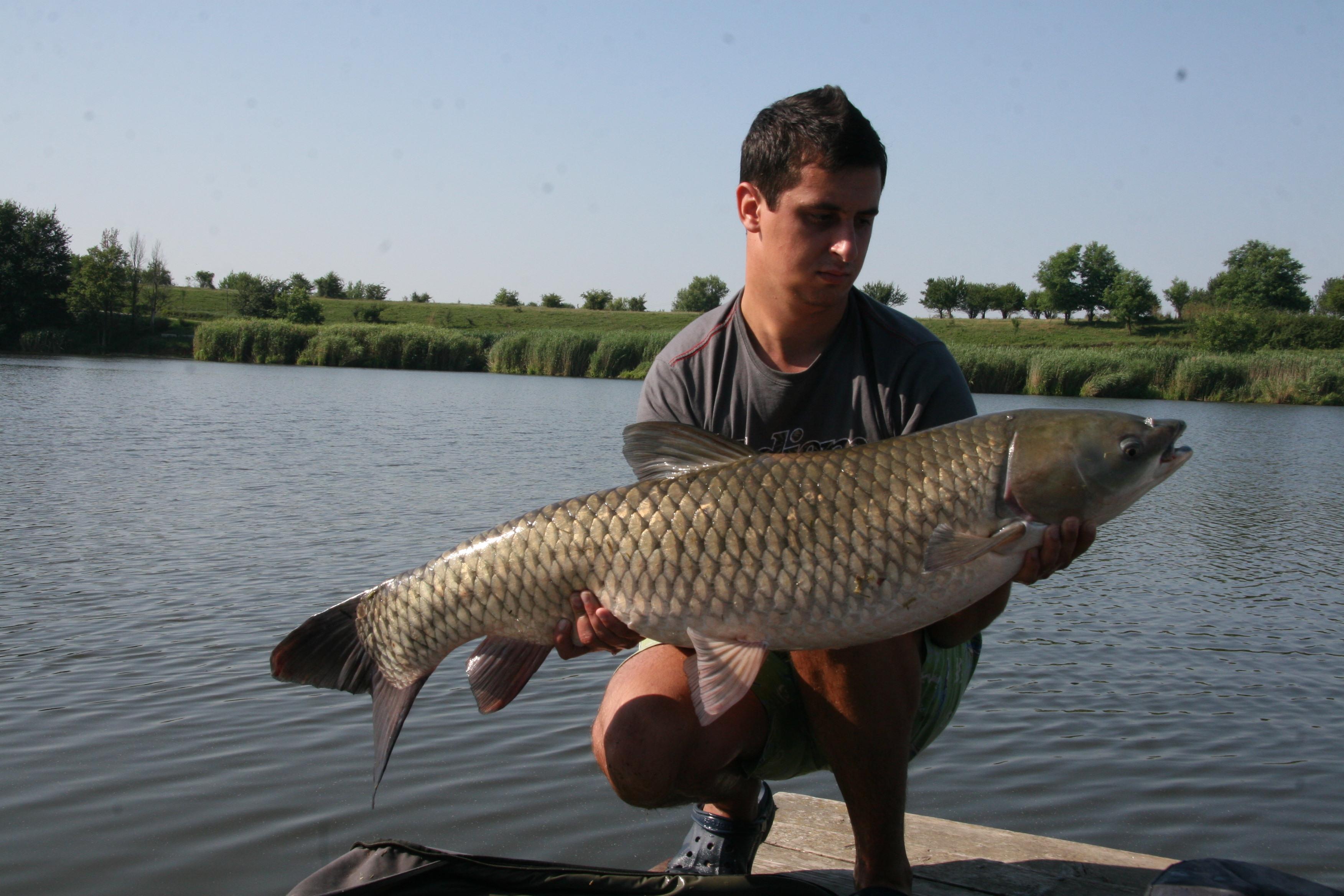 C.B.C - IMG_2781.JPG